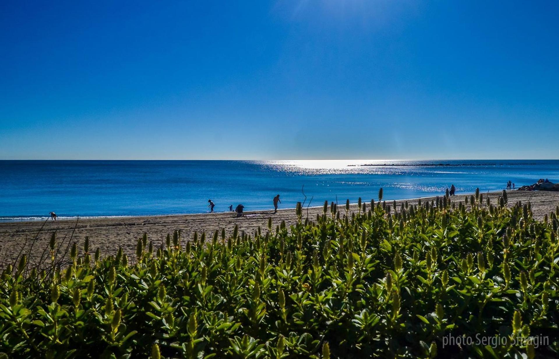 בנאלמדנה 812 Benalbeach. 1ºlinea De Playa. Vistas A La Piscina Y La Montana. מראה חיצוני תמונה